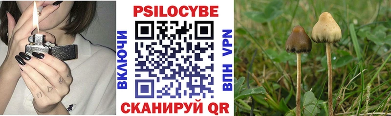 хочу наркоту Мегион Псилоцибиновые грибы Cubensis